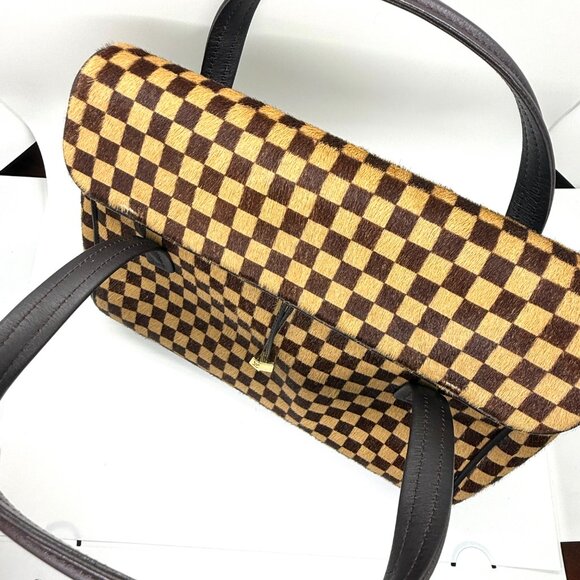 Vintage Limited Edition Louis Vuitton Damier Sauvage Lionne Pony Hair Handbag - Picture 3 of 12
